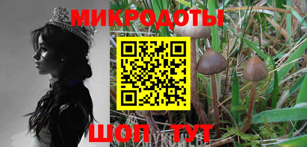 Галлюциногенные грибы Cubensis  наркотики  Александров  Вход с VPN 